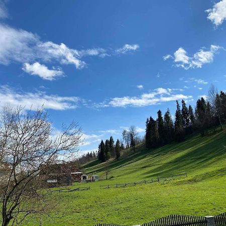 Apartamenty U Basi Leśnica Dış mekan fotoğraf