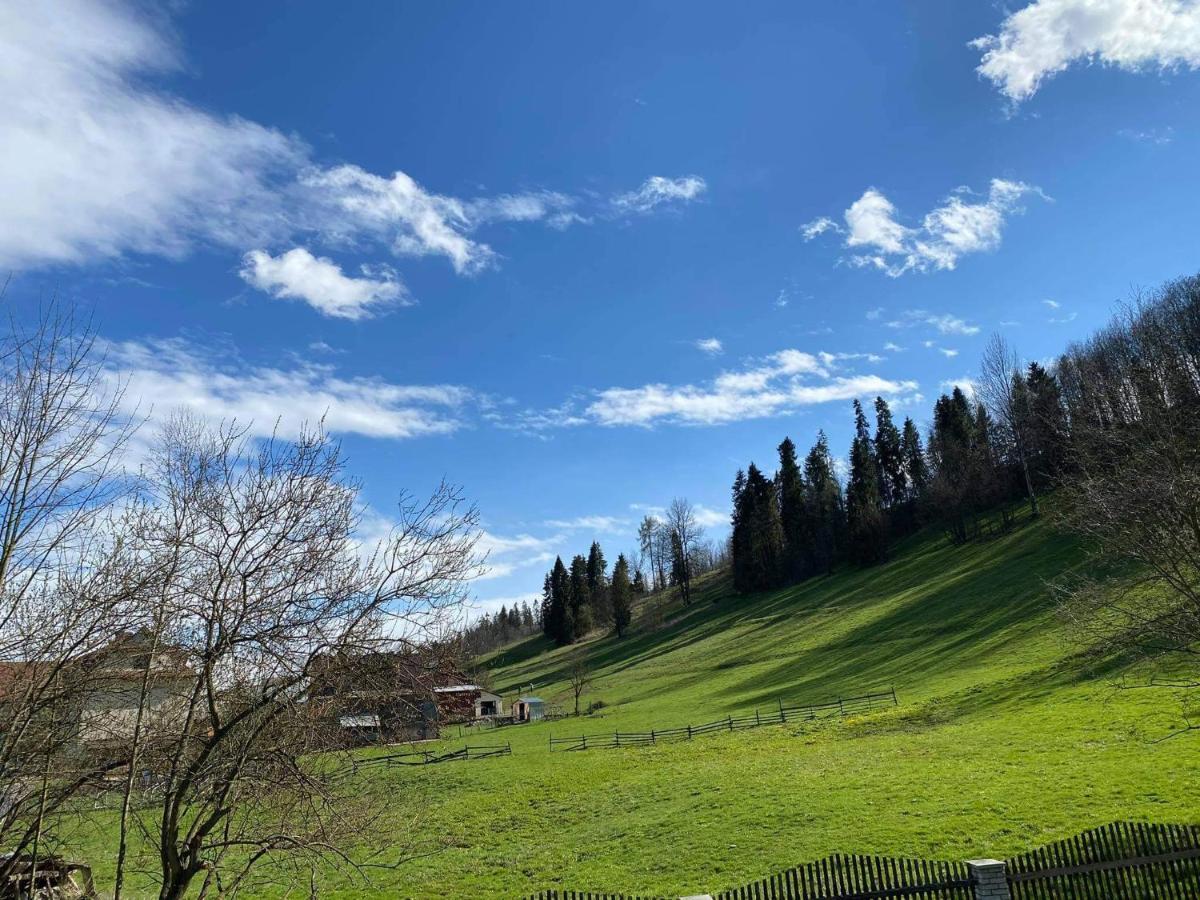 Apartamenty U Basi Leśnica Dış mekan fotoğraf